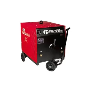 TRR2750 – BAMBOZZI